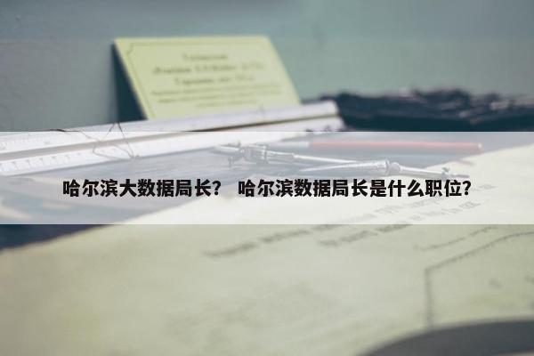哈尔滨大数据局长？ 哈尔滨数据局长是什么职位？