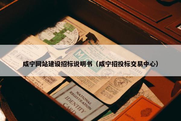 咸宁网站建设招标说明书（咸宁招投标交易中心）