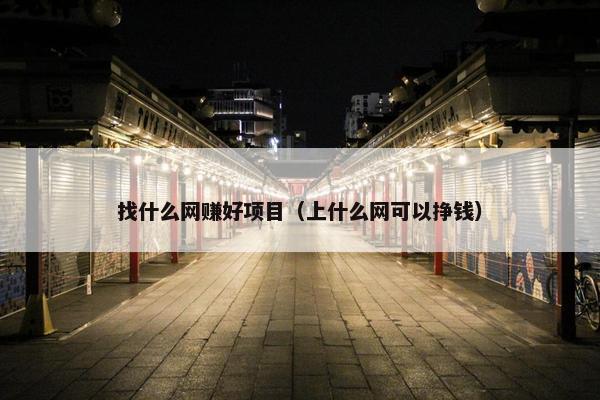 找什么网赚好项目（上什么网可以挣钱）
