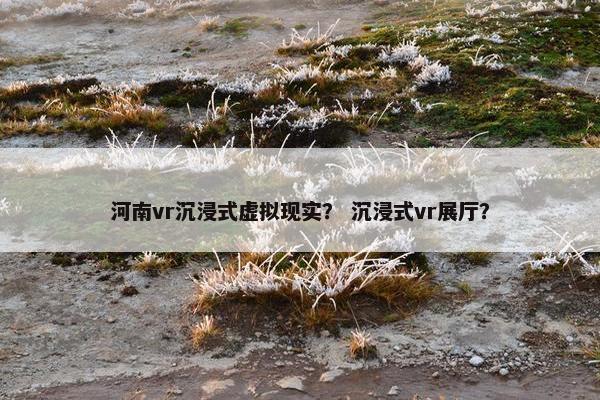 河南vr沉浸式虚拟现实？ 沉浸式vr展厅？