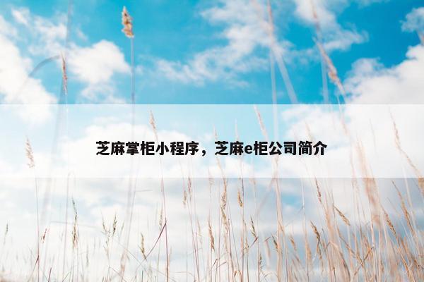 芝麻掌柜小程序，芝麻e柜公司简介