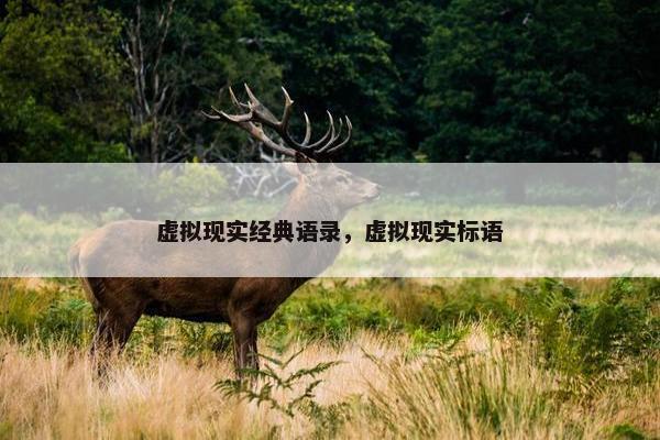 虚拟现实经典语录，虚拟现实标语