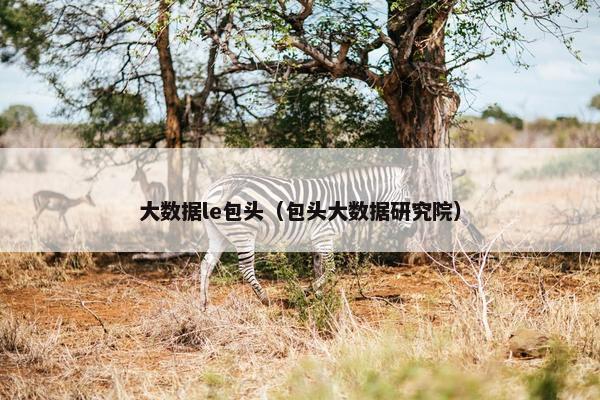 大数据le包头（包头大数据研究院）
