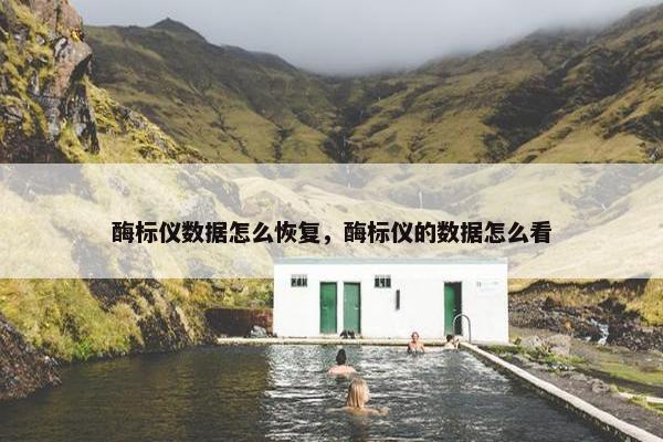 酶标仪数据怎么恢复，酶标仪的数据怎么看