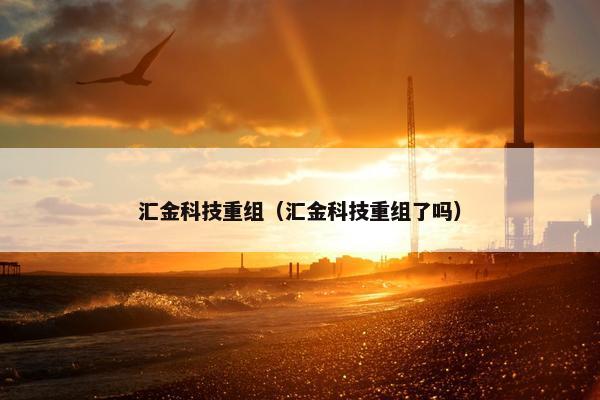 汇金科技重组（汇金科技重组了吗）