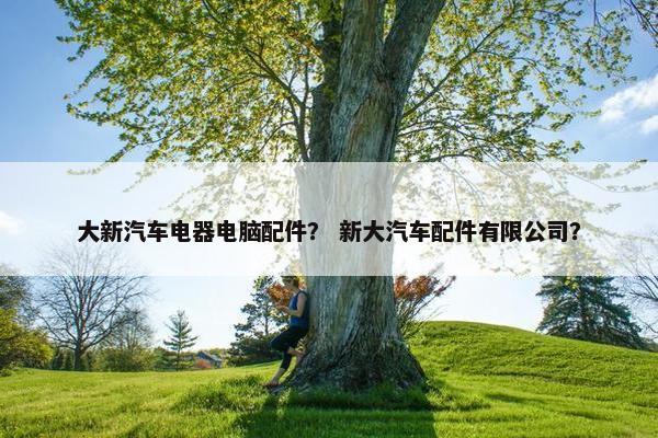 大新汽车电器电脑配件？ 新大汽车配件有限公司？