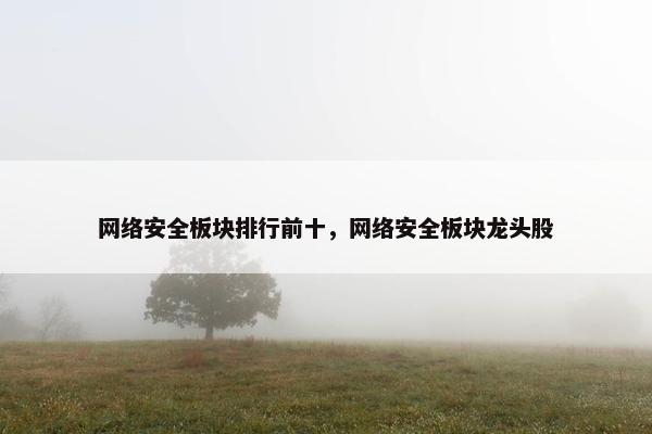网络安全板块排行前十，网络安全板块龙头股