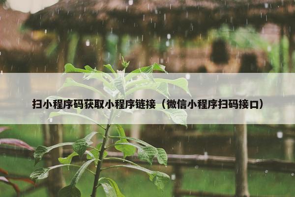 扫小程序码获取小程序链接（微信小程序扫码接口）