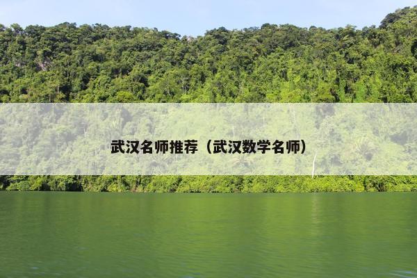 武汉名师推荐（武汉数学名师）