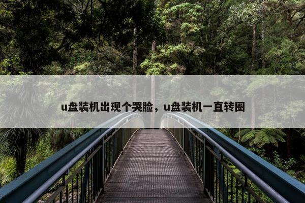u盘装机出现个哭脸，u盘装机一直转圈