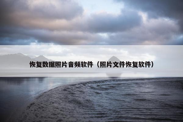 恢复数据照片音频软件（照片文件恢复软件）
