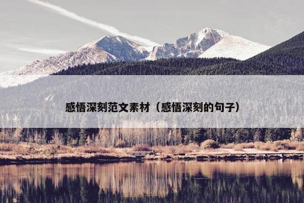 感悟深刻范文素材（感悟深刻的句子）