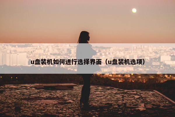 u盘装机如何进行选择界面（u盘装机选项）