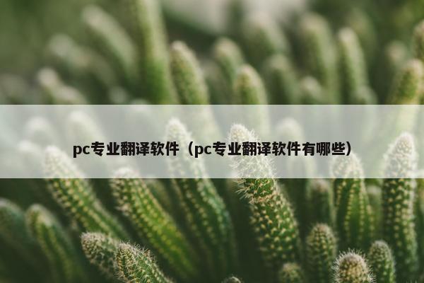 pc专业翻译软件（pc专业翻译软件有哪些）