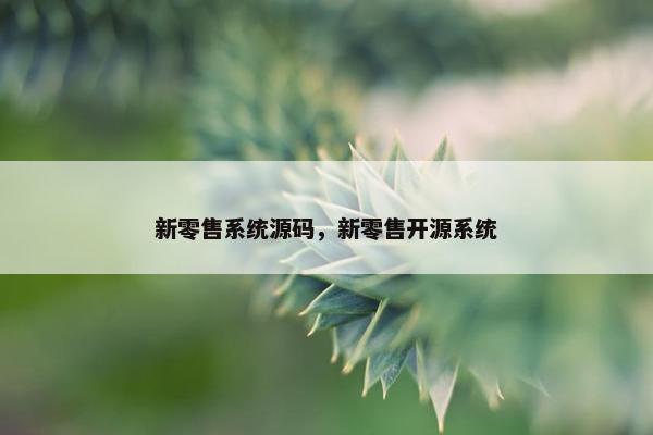 新零售系统源码，新零售开源系统