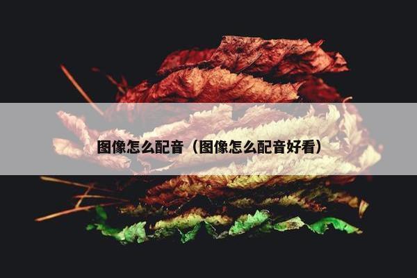 图像怎么配音（图像怎么配音好看）