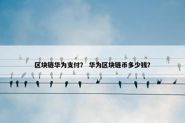 区块链华为支付？ 华为区块链币多少钱？