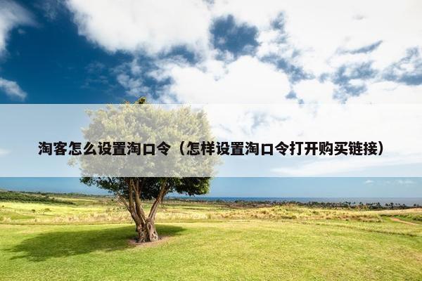 淘客怎么设置淘口令（怎样设置淘口令打开购买链接）