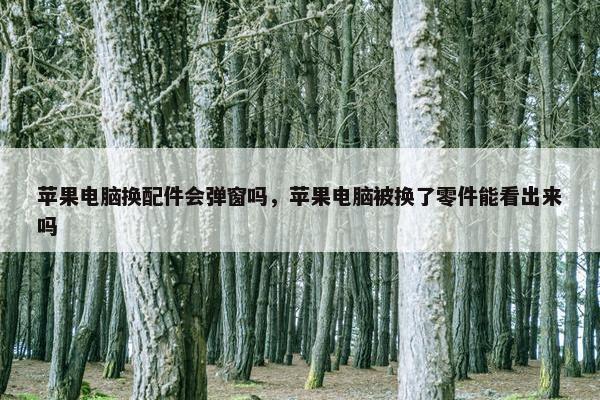 苹果电脑换配件会弹窗吗，苹果电脑被换了零件能看出来吗