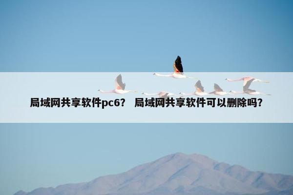 局域网共享软件pc6？ 局域网共享软件可以删除吗？