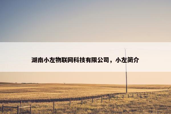 湖南小左物联网科技有限公司，小左简介