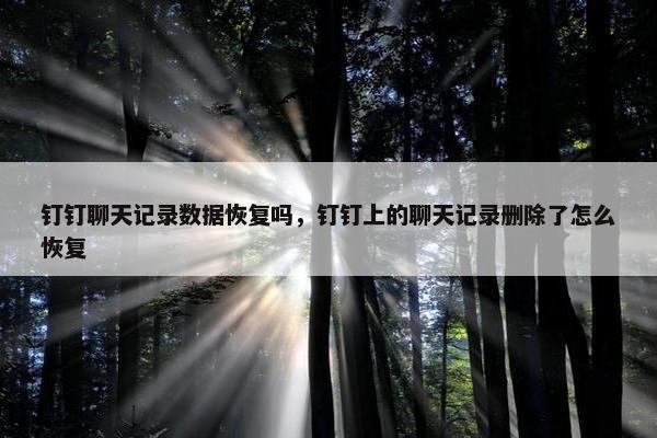 钉钉聊天记录数据恢复吗，钉钉上的聊天记录删除了怎么恢复