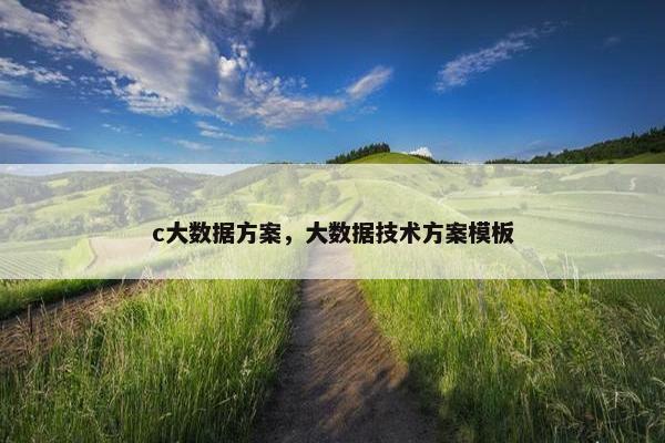 c大数据方案，大数据技术方案模板