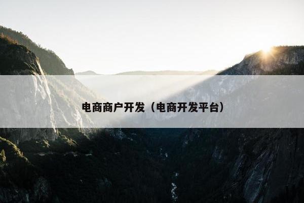 电商商户开发（电商开发平台）