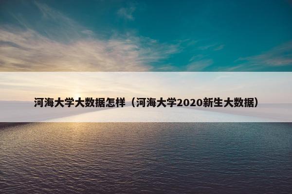 河海大学大数据怎样（河海大学2020新生大数据）