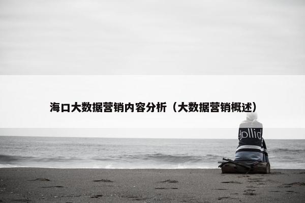 海口大数据营销内容分析（大数据营销概述）