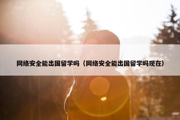 网络安全能出国留学吗（网络安全能出国留学吗现在）