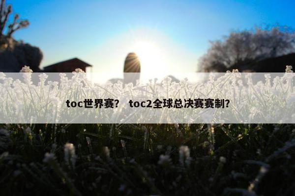 toc世界赛？ toc2全球总决赛赛制？