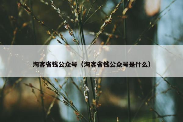 淘客省钱公众号（淘客省钱公众号是什么）