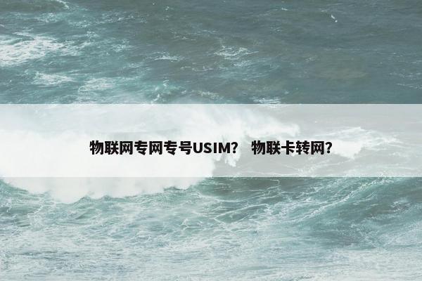 物联网专网专号USIM？ 物联卡转网？