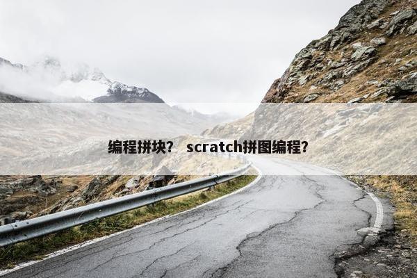 编程拼块？ scratch拼图编程？