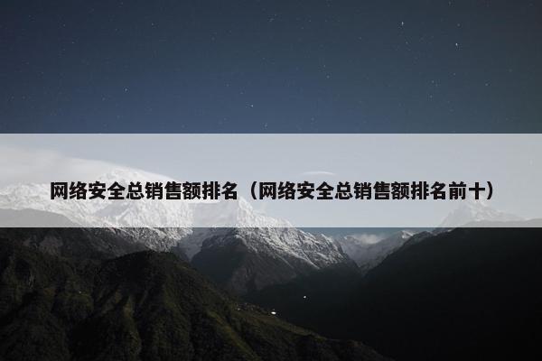 网络安全总销售额排名（网络安全总销售额排名前十）