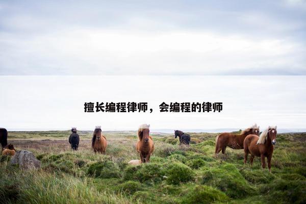 擅长编程律师，会编程的律师