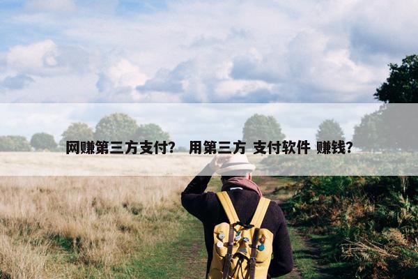 网赚第三方支付？ 用第三方 支付软件 赚钱？