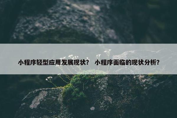 小程序轻型应用发展现状？ 小程序面临的现状分析？