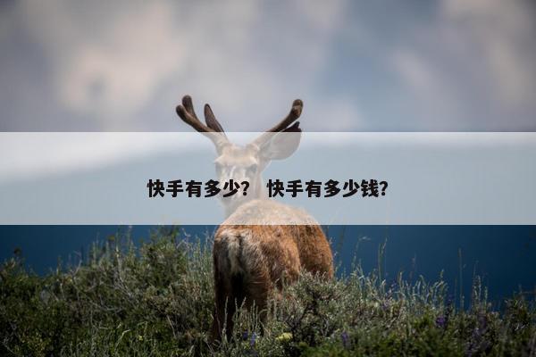 快手有多少？ 快手有多少钱？
