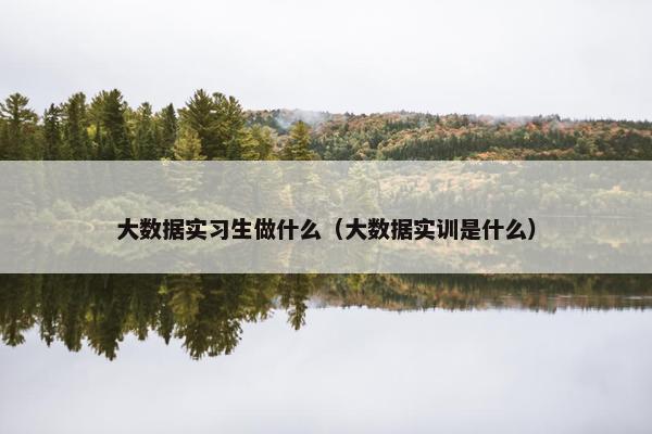 大数据实习生做什么（大数据实训是什么）