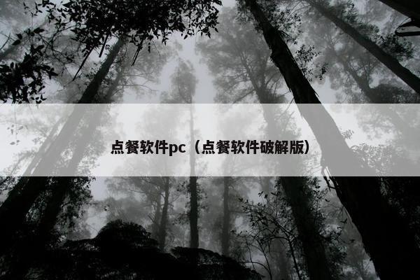 点餐软件pc（点餐软件破解版）