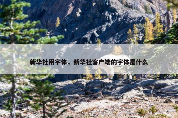 新华社用字体，新华社客户端的字体是什么