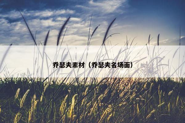 乔瑟夫素材（乔瑟夫名场面）