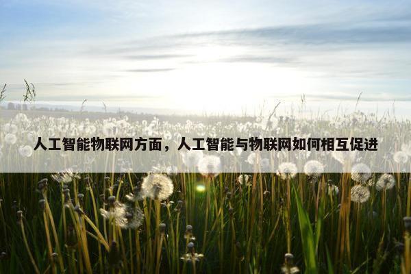人工智能物联网方面，人工智能与物联网如何相互促进