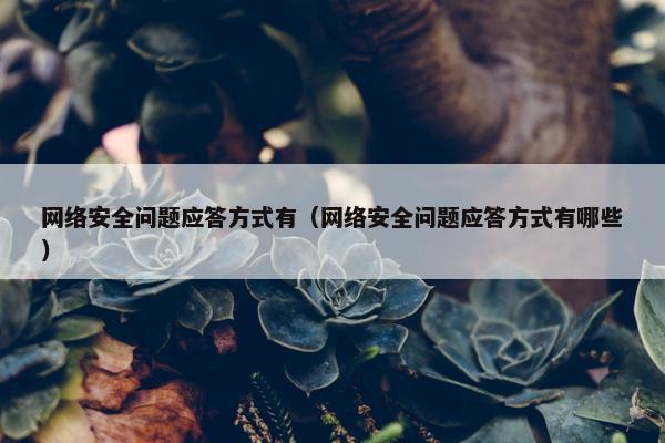 网络安全问题应答方式有（网络安全问题应答方式有哪些）