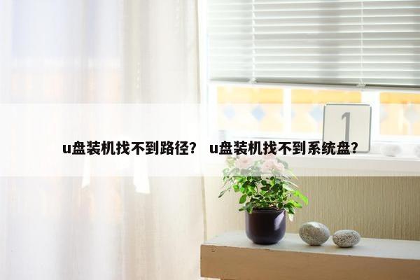 u盘装机找不到路径？ u盘装机找不到系统盘？
