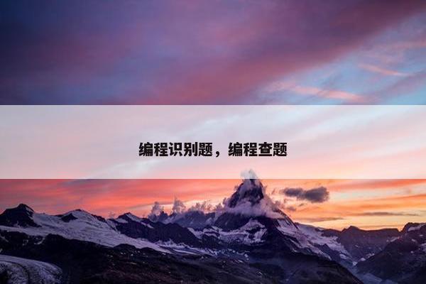 编程识别题，编程查题