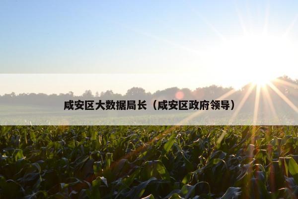 咸安区大数据局长（咸安区政府领导）
