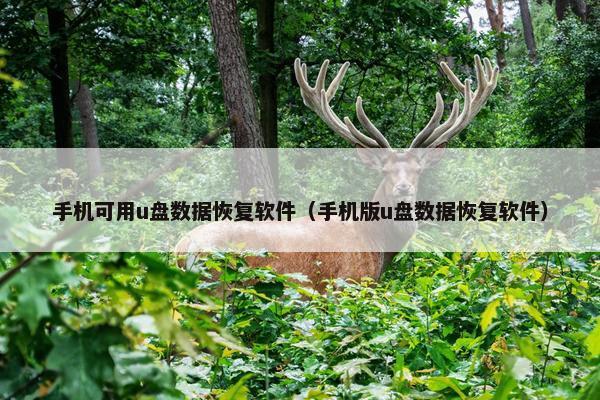 手机可用u盘数据恢复软件（手机版u盘数据恢复软件）